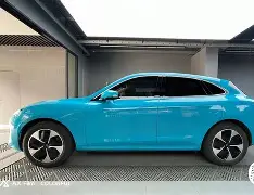 2025年美国森林大火